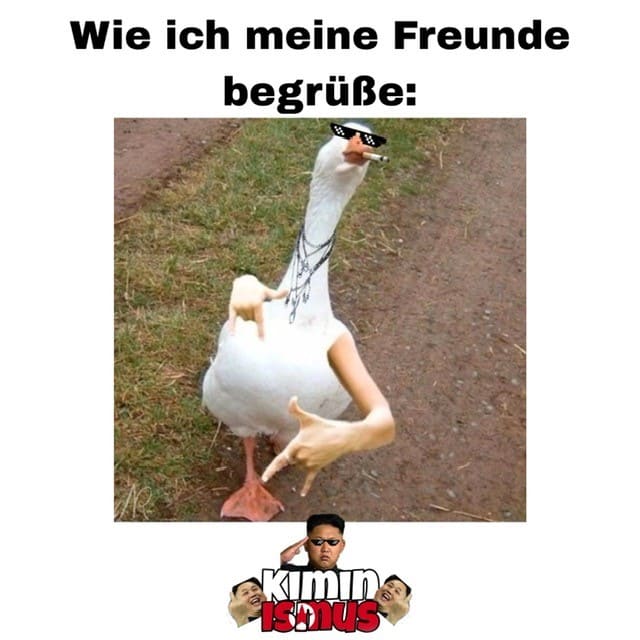 Wie ich meine Freunde begrüße. (Gänse Memes)| Deutsche Memes und lustige Bilder